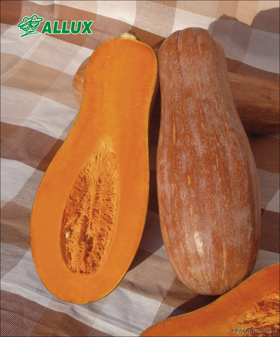 生鲜超市在线订单